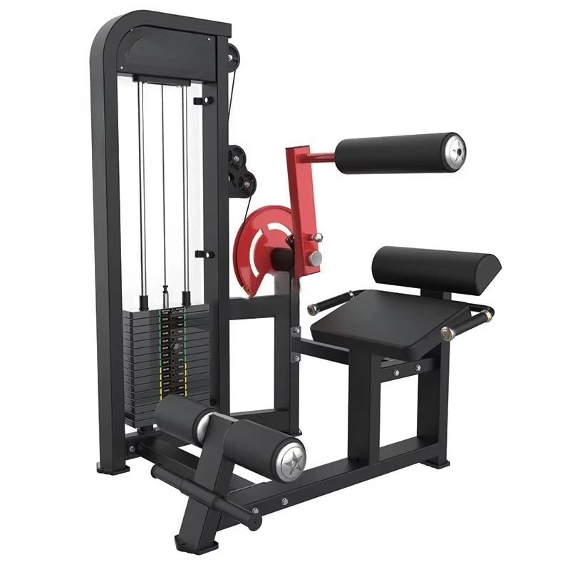 New Materials High Quality Commercial Gym Materials Strength Training Back and Abdominal Combination Fitness Equipment